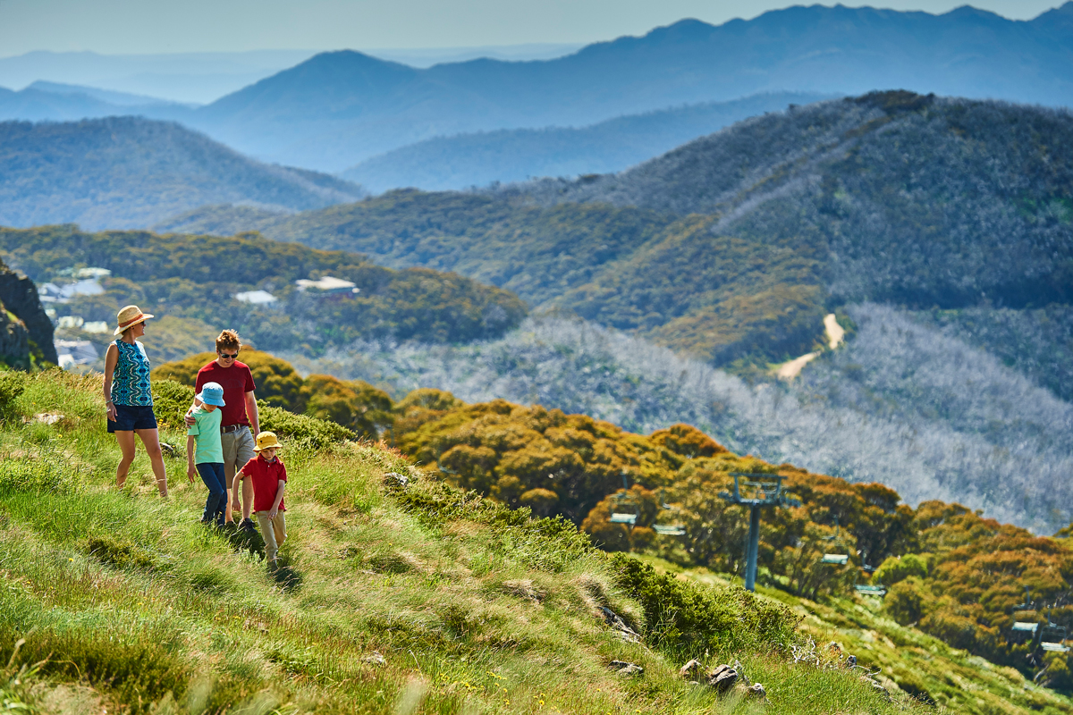 Mt Buller